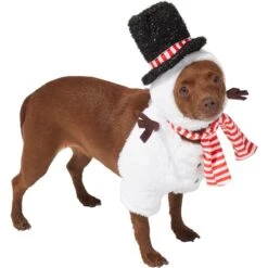 Frisco Front Walking Snowman Dog & Cat Costume 6 Frisco Front Walking Snowman Dog & Cat Costume -Frisco 306569 PT3. AC SS1800 V1631660597