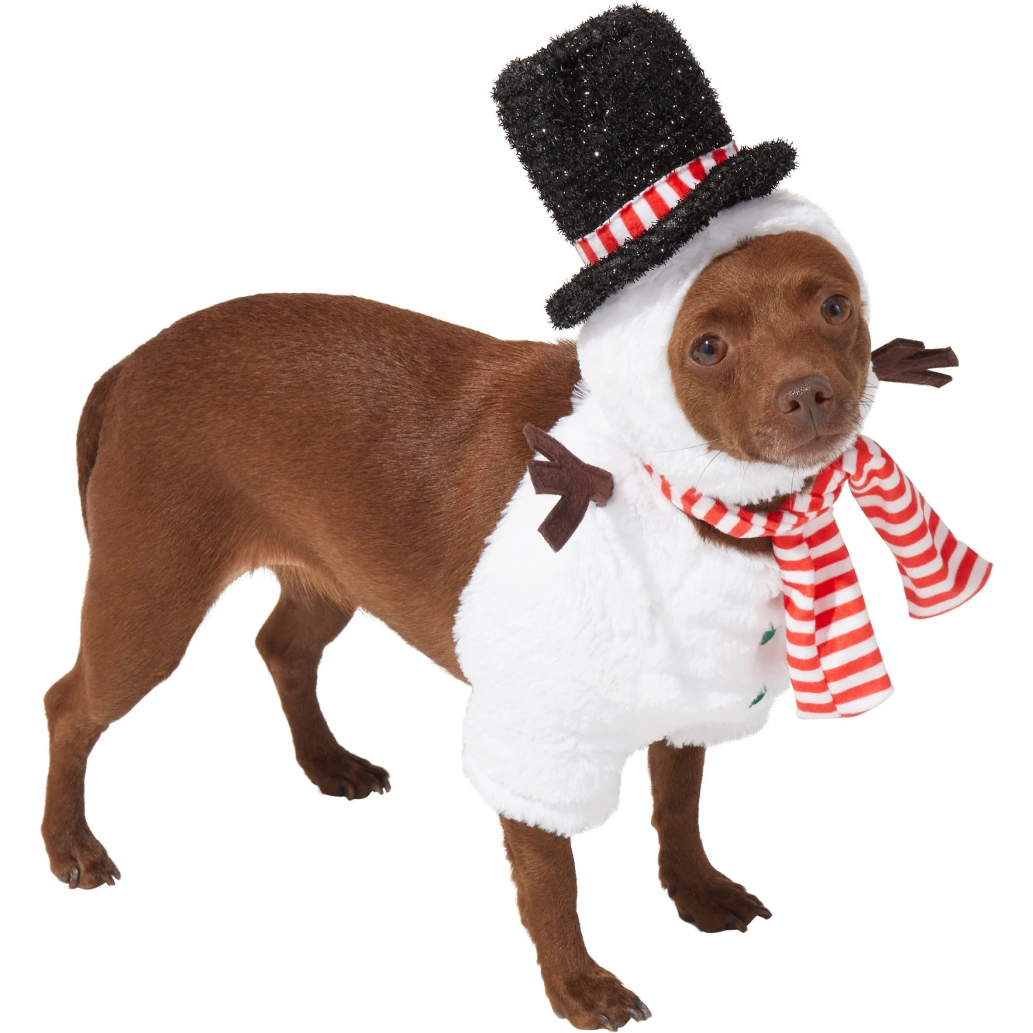 Frisco Front Walking Snowman Dog & Cat Costume 3 Frisco Front Walking Snowman Dog & Cat Costume - Image 3