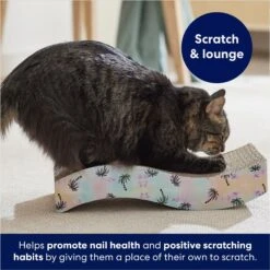 Frisco Wave Cat Scratcher Toy With Catnip 6 Frisco Wave Cat Scratcher Toy With Catnip -Frisco 308885 PT3. AC SS1800 V1678723851