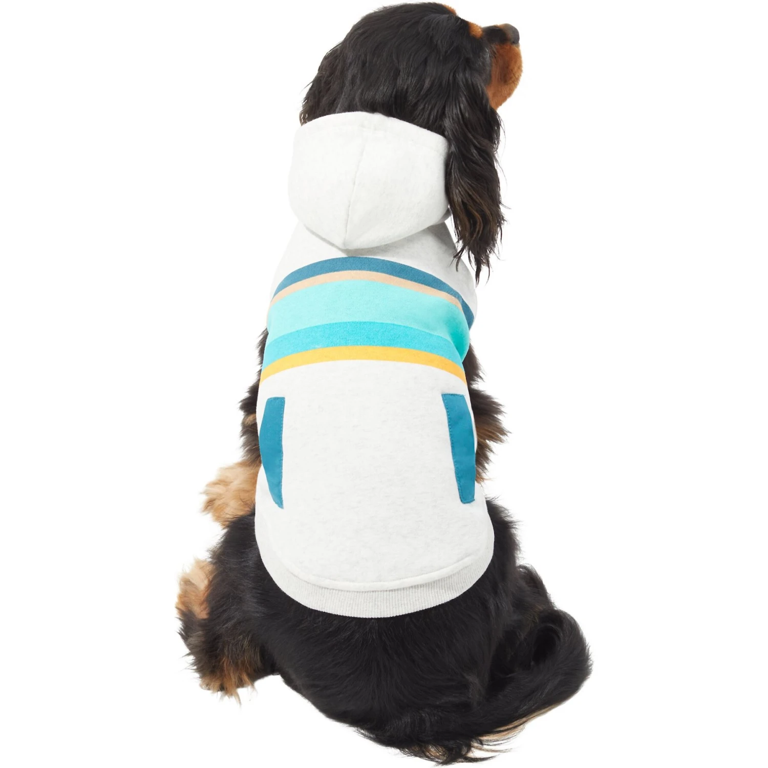 Frisco Striped Dog & Cat Hoodie 1 Frisco Striped Dog & Cat Hoodie