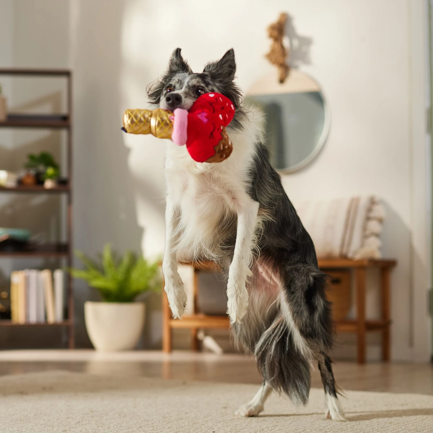 Frisco Valentine Ice Cream Plush Squeaky Dog Toy 3 Frisco Valentine Ice Cream Plush Squeaky Dog Toy - Image 3