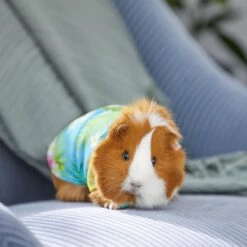 Frisco Pineapple Hawaiian Camp Guinea Pig Shirt -Frisco 313122 PT8. AC SS1800 V1644524562