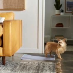 Frisco Washable Dog Potty Pads -Frisco 315712 PT3. AC SS1800 V1644880410