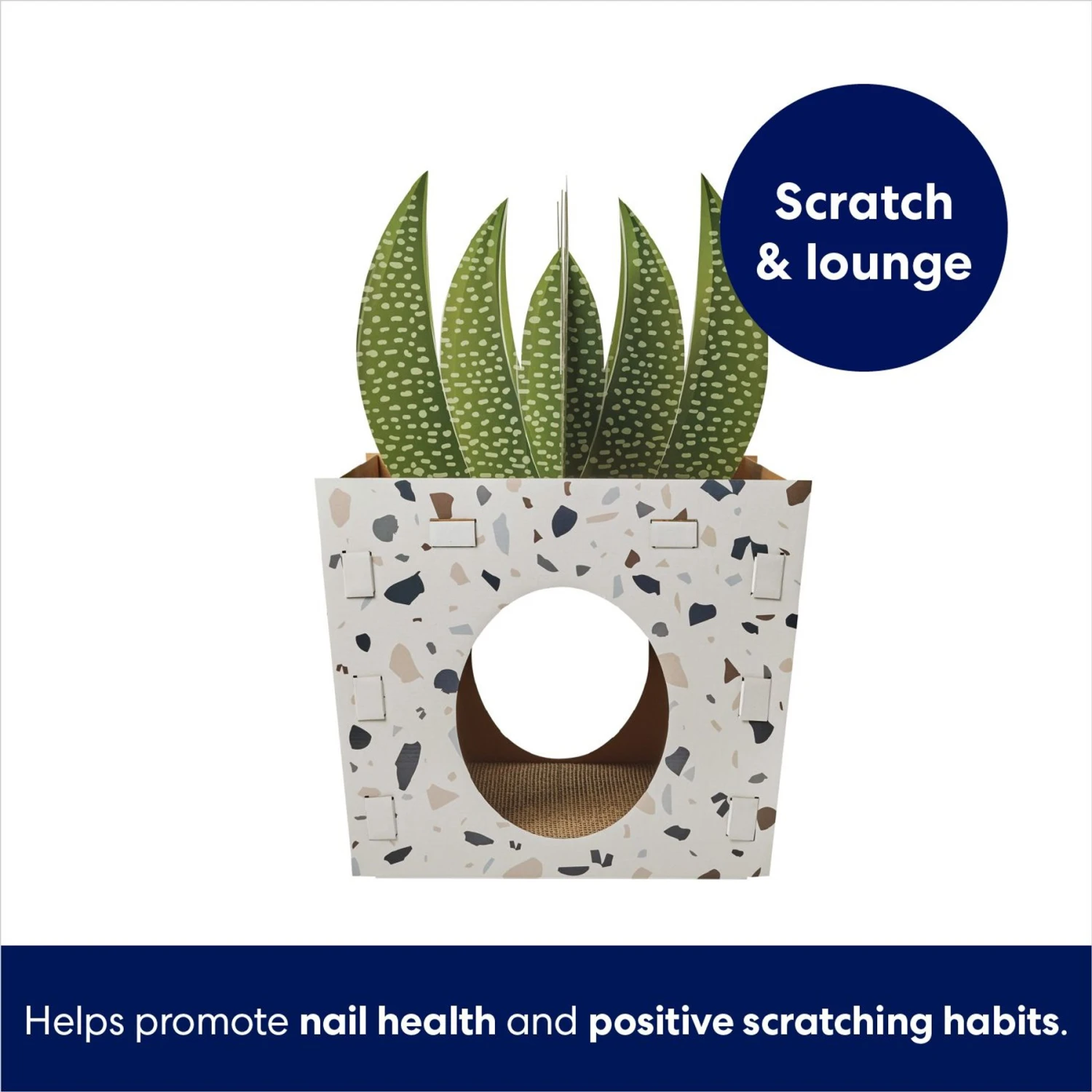 Frisco Potted Succulent Cardboard Cat House 3 Frisco Potted Succulent Cardboard Cat House - Image 3