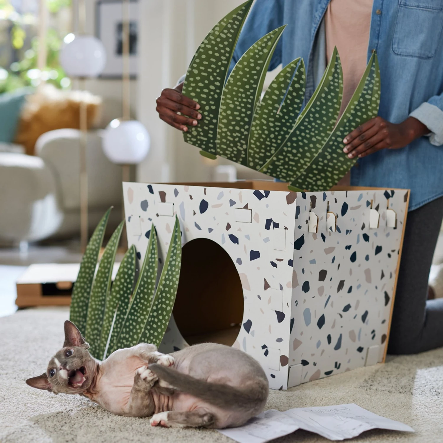 Frisco Potted Succulent Cardboard Cat House 4 Frisco Potted Succulent Cardboard Cat House - Image 4