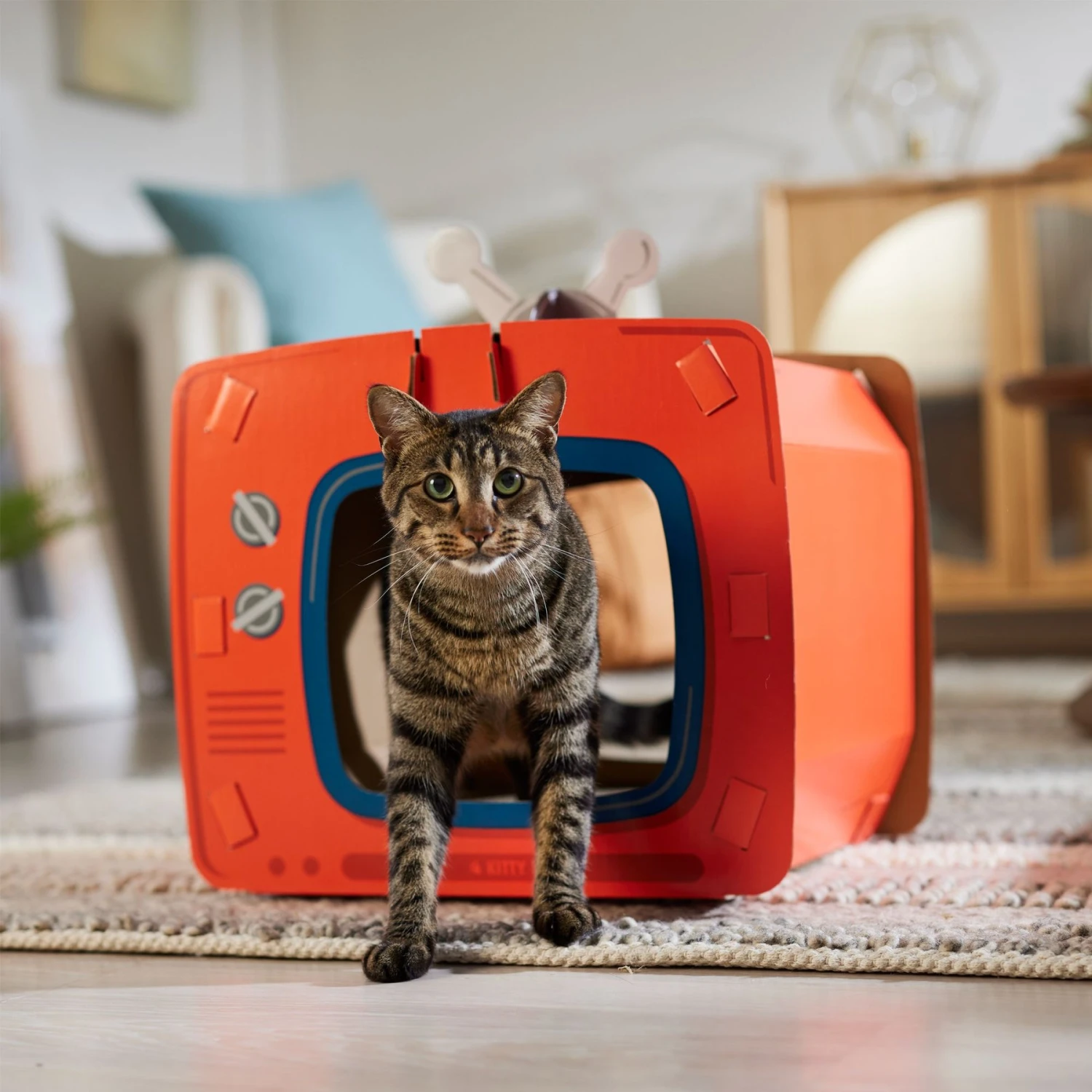 Frisco TV Set Cardboard Cat House 5 Frisco TV Set Cardboard Cat House - Image 5