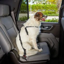 Frisco Adjustable Dog Seatbelt Tether & Frisco Quilted Water Resistant Bench Car Seat Cover -Frisco 318966 PT3. AC SS1800 V1630360879
