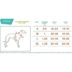 Frisco Outdoor Premium Ripstop Nylon Dog Harness With Pocket & Frisco Outdoor Nylon Reflective Comfort Padded Dog Leash -Frisco 319306 PT3. AC SS1800 V1631145697