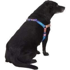 Frisco Purple Ombre Style Dog Harness 8 Frisco Purple Ombre Style Dog Harness -Frisco 324526 PT3. AC SS1800 V1642519104