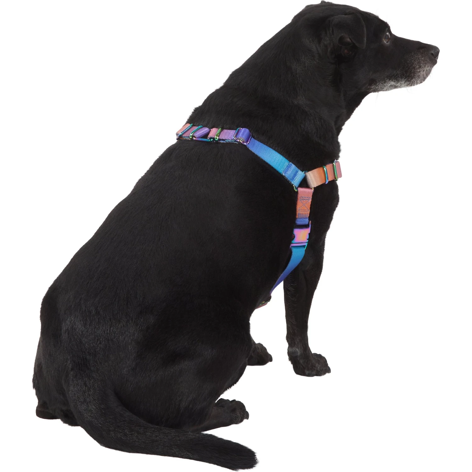 Frisco Purple Ombre Style Dog Harness 4 Frisco Purple Ombre Style Dog Harness - Image 4