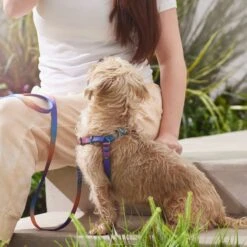 Frisco Purple Ombre Style Dog Harness 9 Frisco Purple Ombre Style Dog Harness -Frisco 324526 PT4. AC SS1800 V1642518470