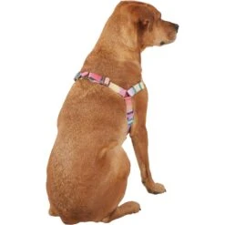 Frisco Pink Ombre Style Dog Harness 8 Frisco Pink Ombre Style Dog Harness -Frisco 324537 PT3. AC SS1800 V1642519146