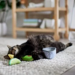 Frisco Guacamole Bowl Cat Toy With Catnip, Medium, 4 Count 7 Frisco Guacamole Bowl Cat Toy With Catnip, Medium, 4 Count -Frisco 327059 PT3. AC SS1800 V1645205519