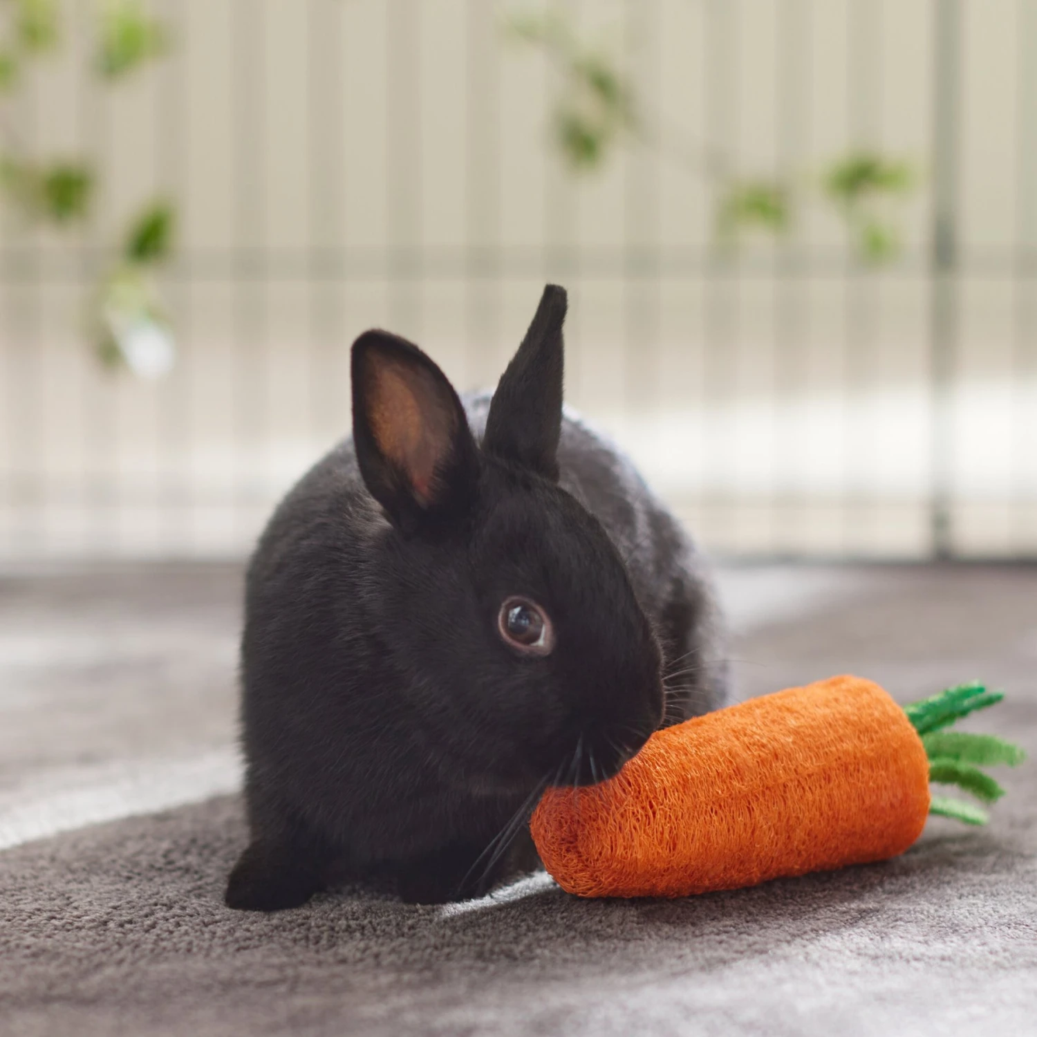 Frisco Carrot Loofah Small Pet Chew Toy 3 Frisco Carrot Loofah Small Pet Chew Toy - Image 3