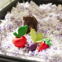 Frisco Wooden Fruit Assortment Small Pet Chew Toy -Frisco 330883 PT2. AC SS1800 V1647530150