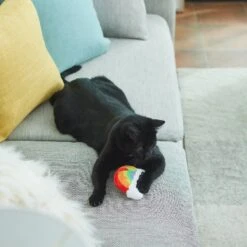 Frisco Pride Rainbow Plush Cat Toy With Silvervine 5 Frisco Pride Rainbow Plush Cat Toy With Silvervine -Frisco 331690 PT3. AC SS1800 V1647355685