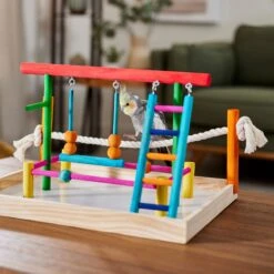 Frisco Color Me Wild Bird Playground -Frisco 331704 PT4. AC SS1800 V1660703306