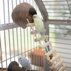 Frisco Up The Ladder Coco Bird Hut 8 Frisco Up The Ladder Coco Bird Hut -Frisco 331723 PT3. AC SS1800 V1660703304