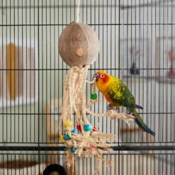 Frisco Coco Loco Bird Toy -Frisco 331741 PT3. AC SS1800 V1660703305