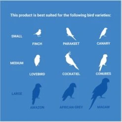 Frisco Coco Loco Bird Toy -Frisco 331741 PT4. AC SS1800 V1661200356