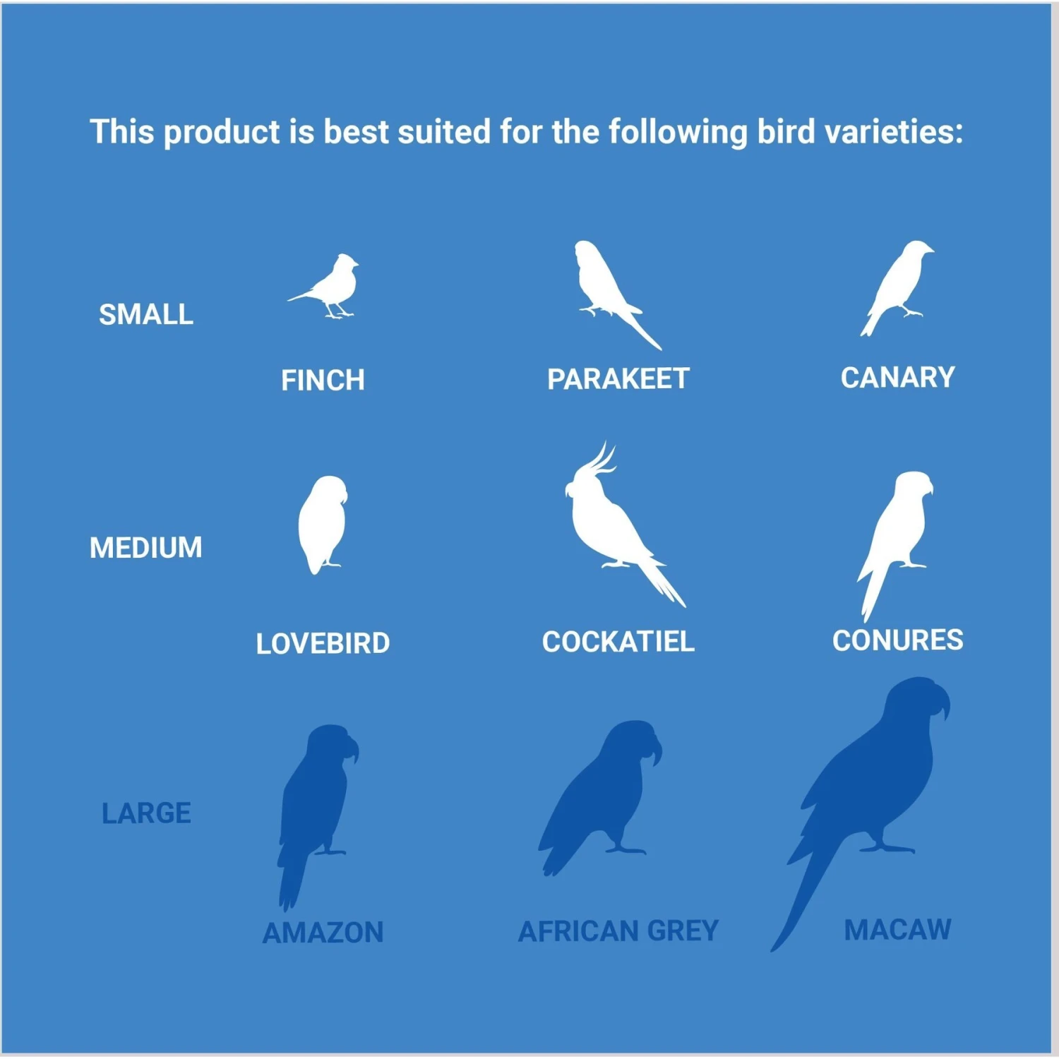 Frisco Coco Swing With Me Bird Toy 5 Frisco Coco Swing With Me Bird Toy - Image 5