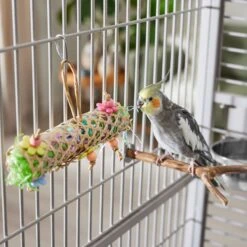 Frisco Flower Net Bird Foraging Toy 7 Frisco Flower Net Bird Foraging Toy -Frisco 331751 PT3. AC SS1800 V1660703304