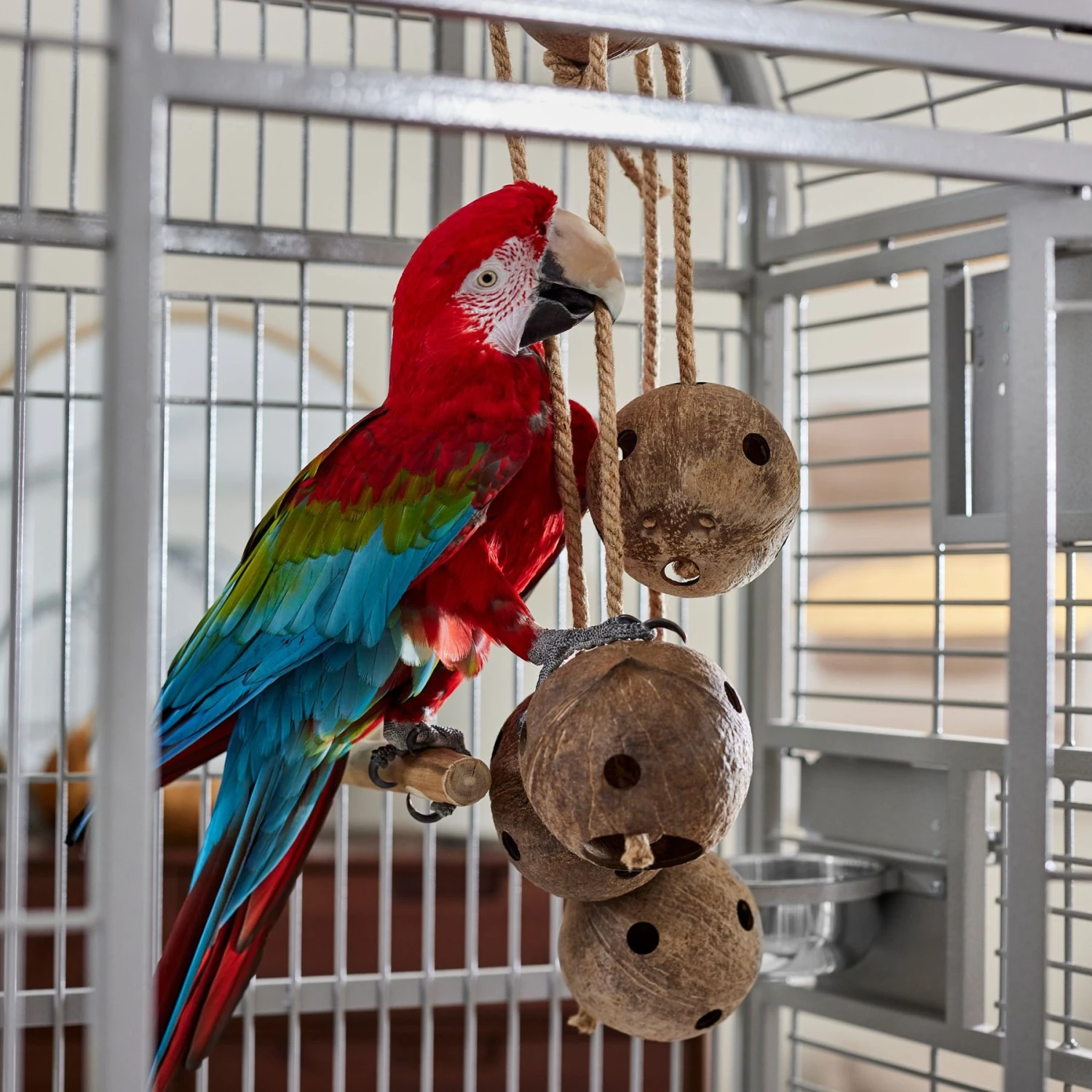 Frisco Holey-Moley Coconut Foraging Bird Toy 3 Frisco Holey-Moley Coconut Foraging Bird Toy - Image 3