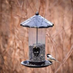 Frisco Acorn Wild Bird Feeder 9 Frisco Acorn Wild Bird Feeder -Frisco 333243 PT4. AC SS1800 V1646665034
