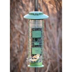 Frisco Squirrel Defense Wild Bird Feeder -Frisco 333277 PT4. AC SS1800 V1646664996
