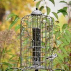 Frisco Ultra Squirrel Defense Wild Bird Feeder -Frisco 333281 PT3. AC SS1800 V1646665002