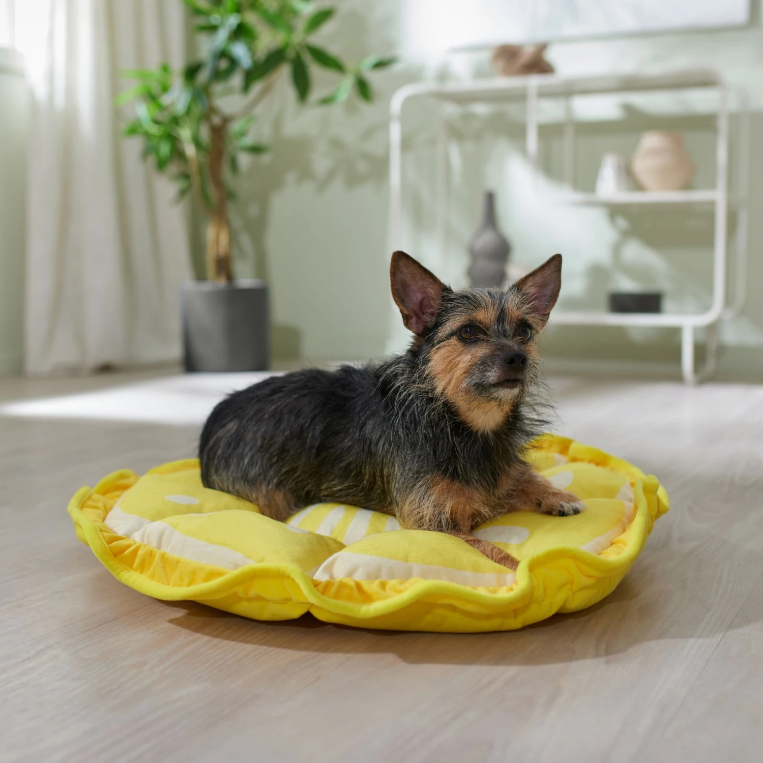 Frisco Lemon Adjustable Cat & Dog Bolster Bed 1 Frisco Lemon Adjustable Cat & Dog Bolster Bed