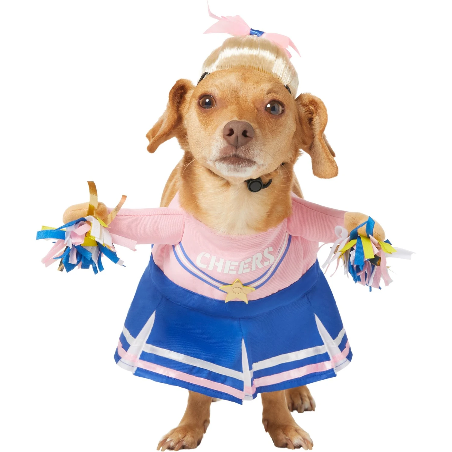 Frisco Front Walking Cheerleader Dog & Cat Costume 1 Frisco Front Walking Cheerleader Dog & Cat Costume