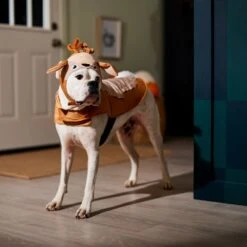 Frisco Deer Dog & Cat Costume -Frisco 334874 PT7. AC SS1800 V1657720507