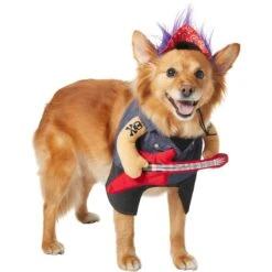 Frisco Front Walking Punk Rocker Dog & Cat Costume 11 Frisco Front Walking Punk Rocker Dog & Cat Costume -Frisco 335087 PT3. AC SS1800 V1658346323