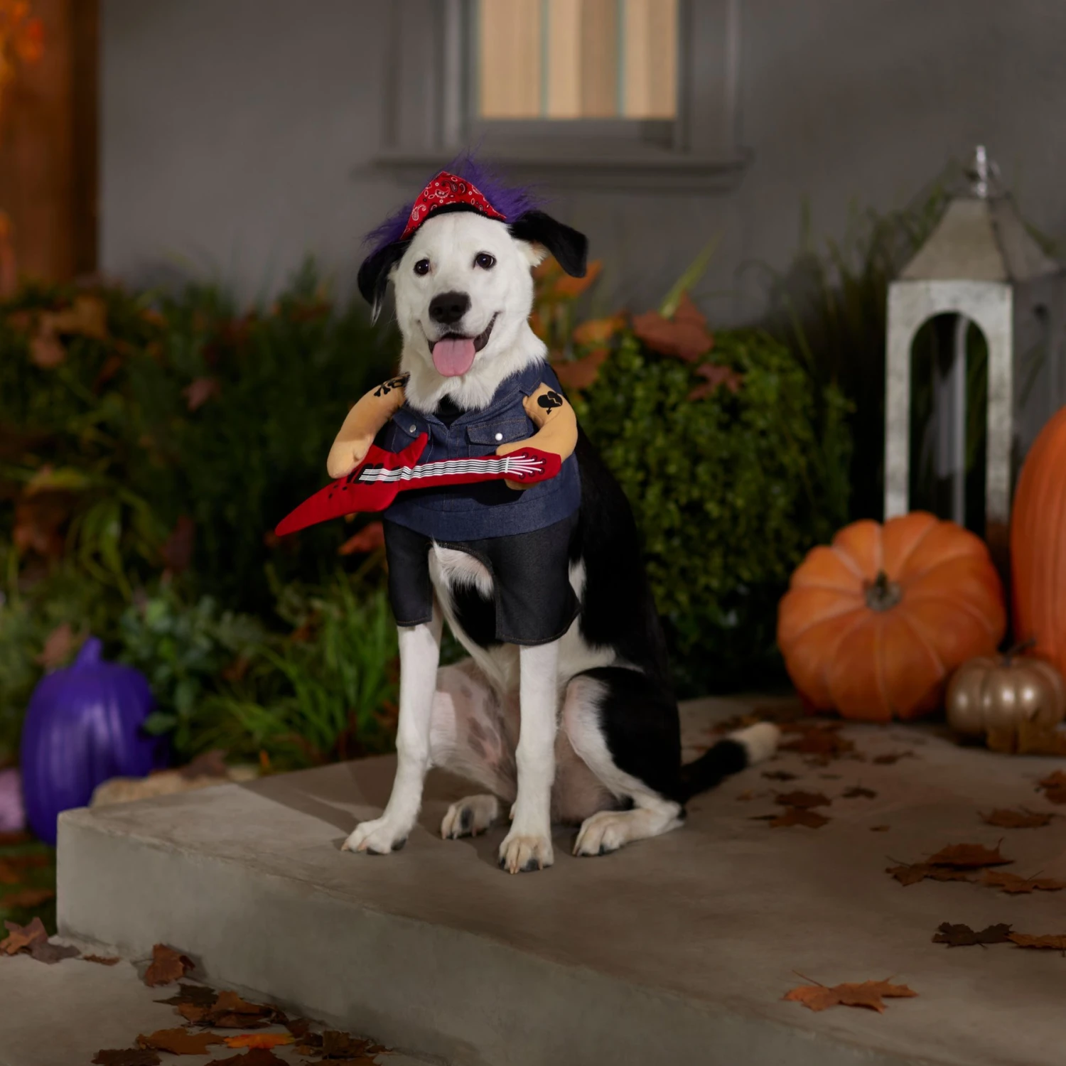 Frisco Front Walking Punk Rocker Dog & Cat Costume 7 Frisco Front Walking Punk Rocker Dog & Cat Costume - Image 7