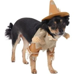 Frisco Front Walking Scarecrow Dog & Cat Costume 11 Frisco Front Walking Scarecrow Dog & Cat Costume -Frisco 335135 PT3. AC SS1800 V1658349680