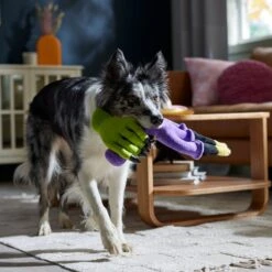 Frisco Halloween Candelabra Plush Squeaky Dog Toy 7 Frisco Halloween Candelabra Plush Squeaky Dog Toy -Frisco 344022 PT3. AC SS1800 V1657657031