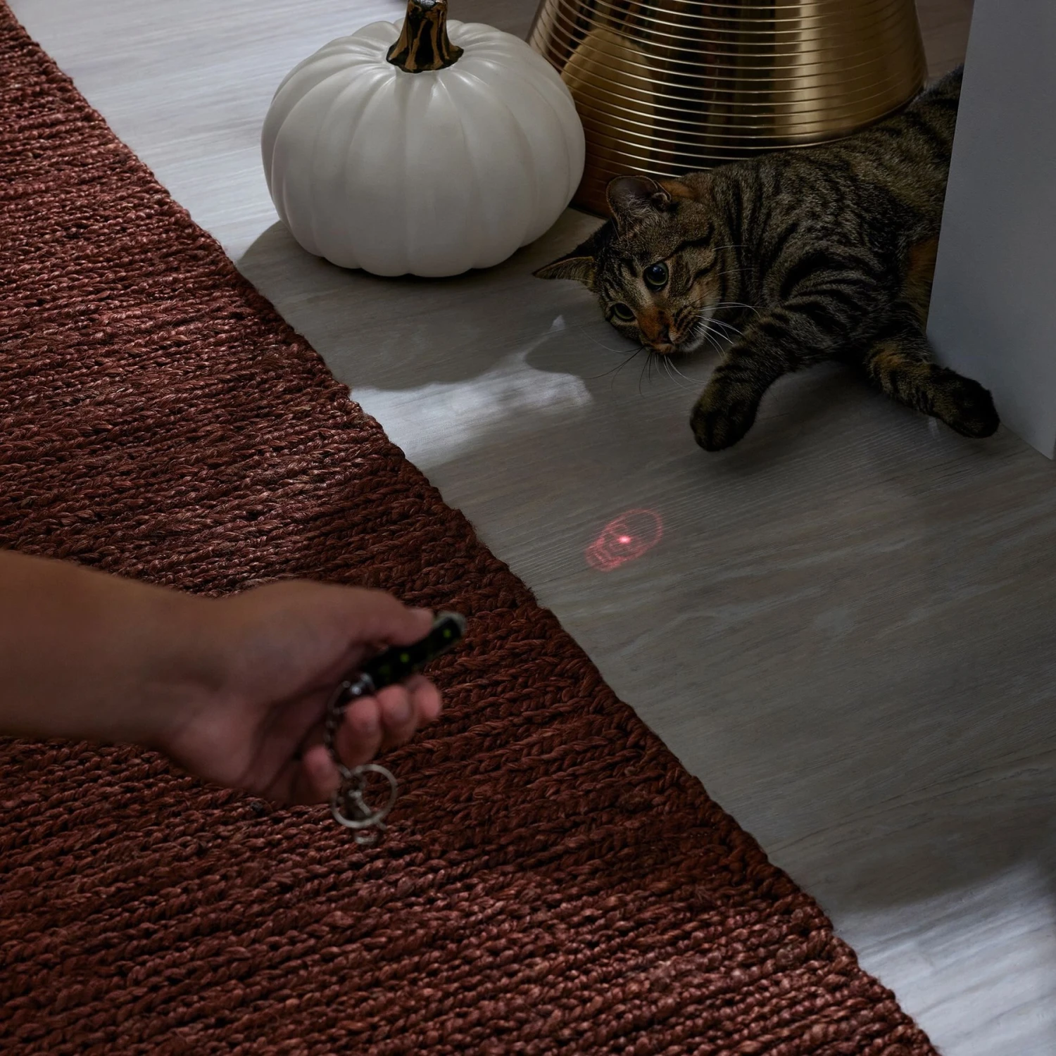Frisco Halloween Skull Laser Cat Toy 4 Frisco Halloween Skull Laser Cat Toy - Image 4