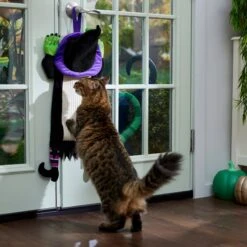 Frisco Halloween Witch Doorknob Hanger Cat Toy With Catnip 8 Frisco Halloween Witch Doorknob Hanger Cat Toy With Catnip -Frisco 344092 PT3. AC SS1800 V1657657035