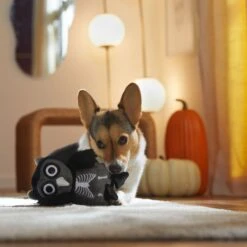 Frisco Halloween Spooky Owl Plush Squeaky Dog Toy 7 Frisco Halloween Spooky Owl Plush Squeaky Dog Toy -Frisco 344162 PT3. AC SS1800 V1657657049