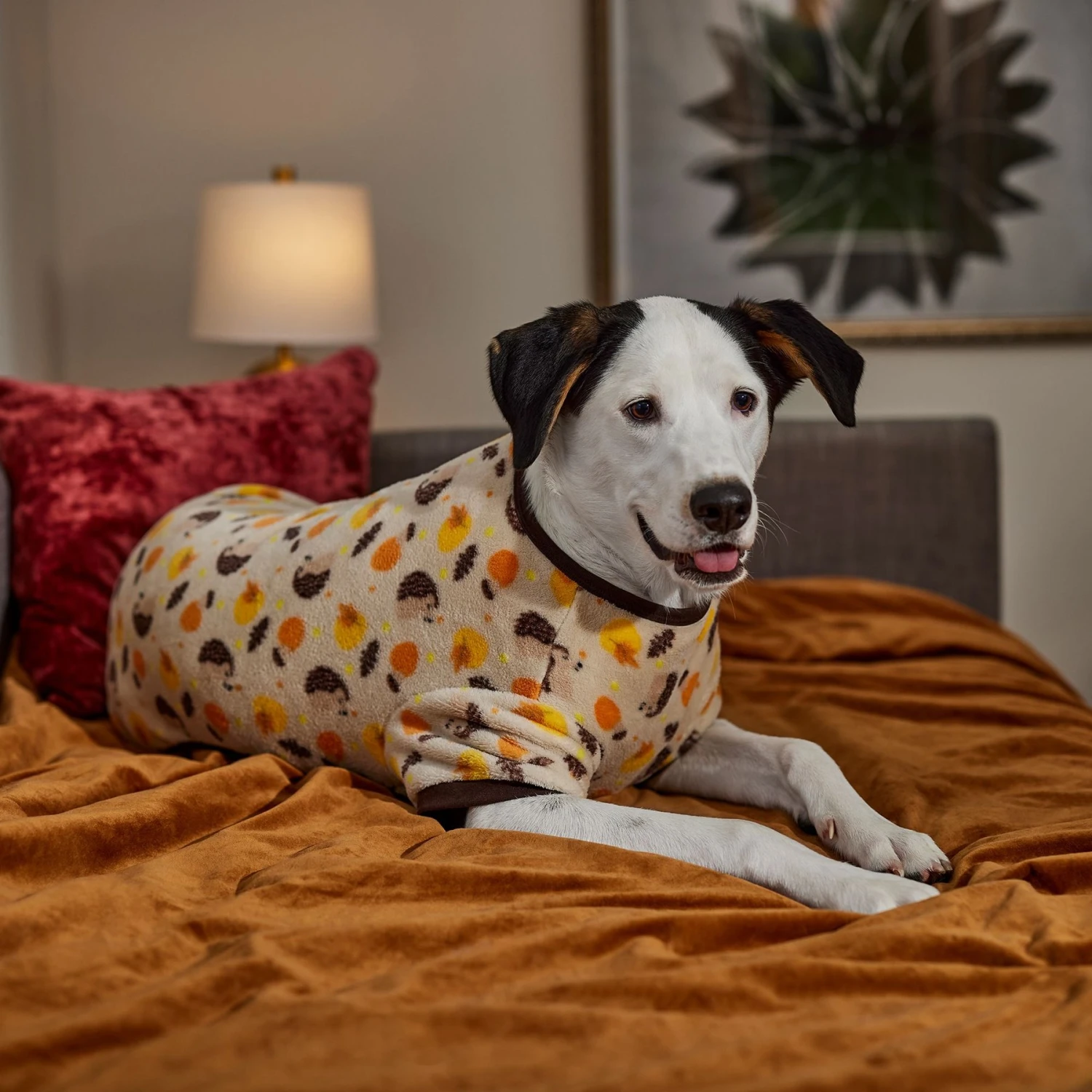 Frisco Hedgehog Dog & Cat Fleece Pajamas 6 Frisco Hedgehog Dog & Cat Fleece Pajamas - Image 6