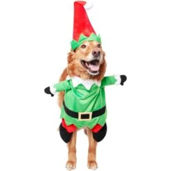 Frisco Front Walking Elf Dog & Cat Costume -Frisco 357956 PT3. AC SS1800 V1660760416