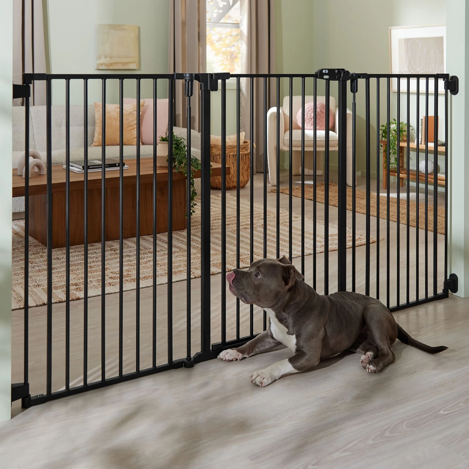Frisco Steel 3-Panel Configurable Gate, 41-in Height 1 Frisco Steel 3-Panel Configurable Gate, 41-in Height