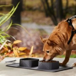 Frisco Travel Silicone Dog & Cat Travel Double Diner Bowl 10 Frisco Travel Silicone Dog & Cat Travel Double Diner Bowl -Frisco 363405 PT2. AC SS1800 V1664558631