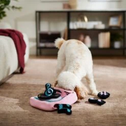 Frisco Valentine Love Song Record Player Hide & Seek Puzzle Plush Squeaky Dog Toy 8 Frisco Valentine Love Song Record Player Hide & Seek Puzzle Plush Squeaky Dog Toy -Frisco 371087 PT3. AC SS1800 V1668737233