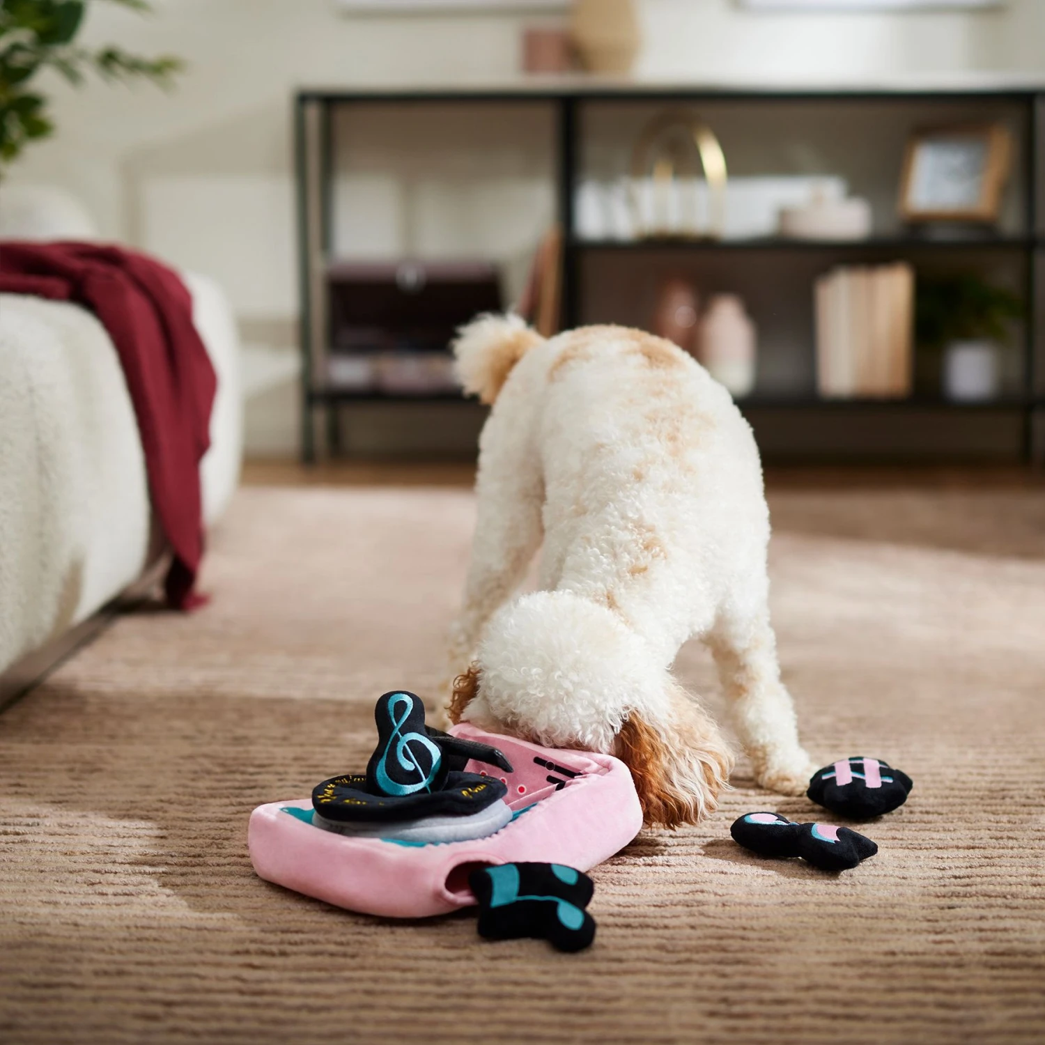 Frisco Valentine Love Song Record Player Hide & Seek Puzzle Plush Squeaky Dog Toy 4 Frisco Valentine Love Song Record Player Hide & Seek Puzzle Plush Squeaky Dog Toy - Image 4