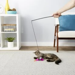 Blue Buffalo Baby Blue Savory Salmon Kitten Treats, 2-oz Bag & Frisco Bird With Feathers Teaser Wand Cat Toy With Catnip -Frisco 501918 PT8. AC SS1800 V1648516909