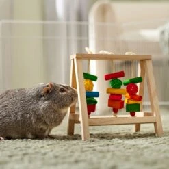 Frisco Activity Play Table Small Pet Toy -Frisco 536846 PT4. AC SS1800 V1668902495