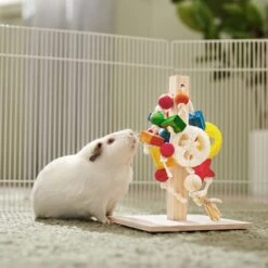 Frisco Activity Play Post Small Pet Toy -Frisco 536910 PT3. AC SS1800 V1668902494