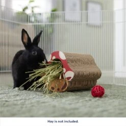 Frisco Mushroom Hide & Chew Small Pet Toy 7 Frisco Mushroom Hide & Chew Small Pet Toy -Frisco 536926 PT3. AC SS1800 V1669393022